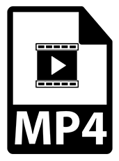 MP4 file format