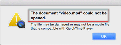 QuickTime Player can't open the MP4 file