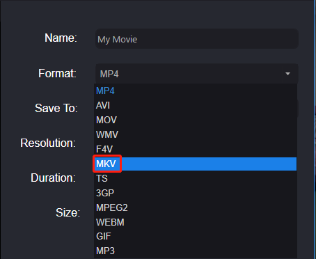 select MKV as the output video format