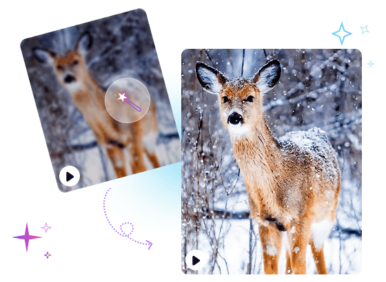 Remove Noise and Blur