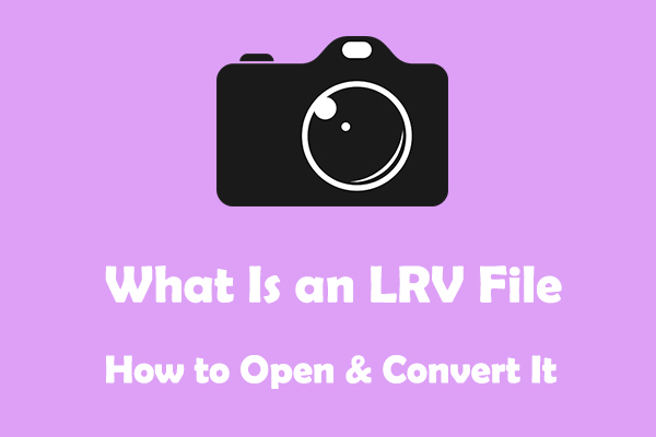 What Is an LRV File & How to Open and Convert It