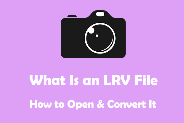 gopro lrv file format