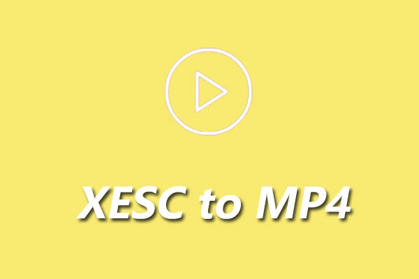 What Is a XESC File & How to Convert XESC to MP4 – Solved