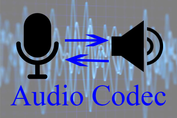 Audio Codec (Encoder + Decoder): How to Compare and Convert It?
