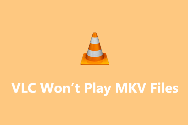 vlc media player won