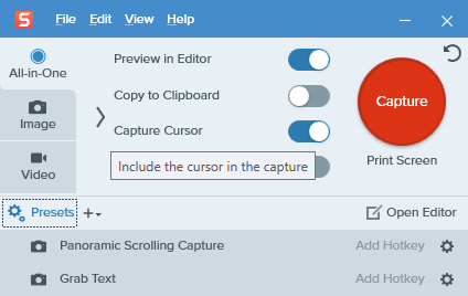 interface of Snagit
