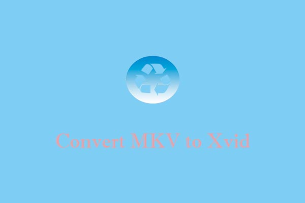 Convert MKV to Xvid and Vice Versa: 7 Easy and Efficient Methods