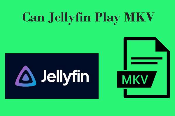 Mkvmoviespoint In Mkv: Expert Review And User Feedback - xlp09u6