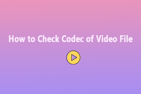 Complete Guide on How to Check Codec of Video File