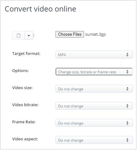 convert twitter video