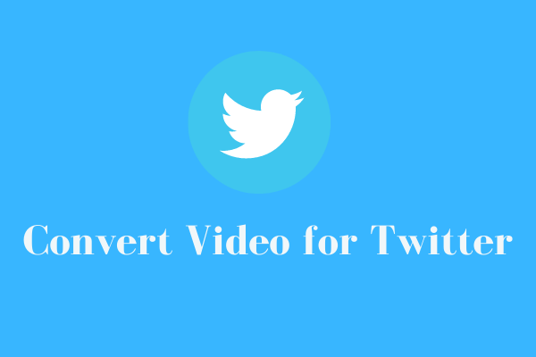 convert mp4 to twitter video