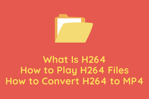 What Is H264 & How to Play/Convert H264 Files [Solved]