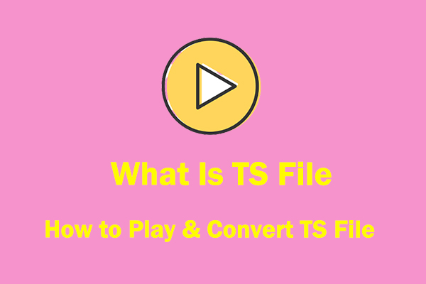 Orderly mimic Unchanged TS File: What Is TS File & How to Play & Convert TS Files