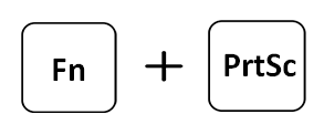 Fn and PrtSc