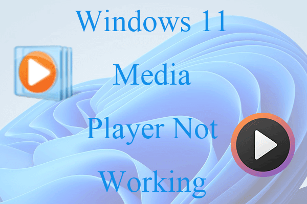 windows media player not working windows 11